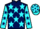 Jockey Silk colours