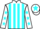 Jockey Silk colours