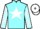 Jockey Silk colours