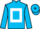 Jockey Silk colours