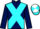 Jockey Silk colours