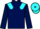 Jockey Silk colours