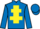 Jockey Silk colours