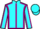 Jockey Silk colours