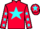 Jockey Silk colours