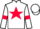 Jockey Silk colours