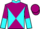 Jockey Silk colours