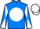 Jockey Silk colours