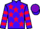 Jockey Silk colours