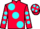 Jockey Silk colours