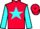 Jockey Silk colours