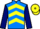 Jockey Silk colours