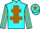 Jockey Silk colours