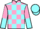 Jockey Silk colours