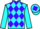 Jockey Silk colours