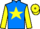 Jockey Silk colours