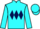 Jockey Silk colours