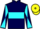 Jockey Silk colours