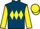 Jockey Silk colours