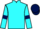 Jockey Silk colours