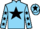 Jockey Silk colours