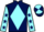 Jockey Silk colours