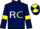 Jockey Silk colours