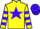 Jockey Silk colours
