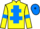 Jockey Silk colours