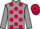 Jockey Silk colours