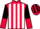 Jockey Silk colours