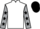 Jockey Silk colours