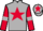Jockey Silk colours