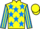Jockey Silk colours