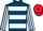 Jockey Silk colours
