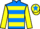 Jockey Silk colours