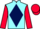 Jockey Silk colours