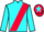 Jockey Silk colours