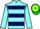 Jockey Silk colours