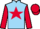 Jockey Silk colours