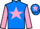 Jockey Silk colours