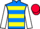Jockey Silk colours