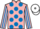 Jockey Silk colours
