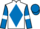 Jockey Silk colours