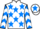 Jockey Silk colours