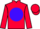 Jockey Silk colours