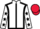 Jockey Silk colours