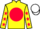 Jockey Silk colours