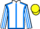 Jockey Silk colours