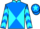 Jockey Silk colours